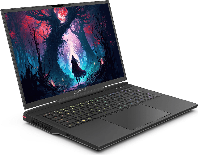 CAPTIVA Highend Gaming I81-510 Laptop 43,9 cm (17.3") WQXGA Intel Core i9 64 GB DDR5