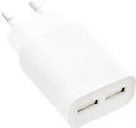 InLine Caricatore USB DUO - Alimentatore 2 volte - 100-240 V a 5 V-21 A - bianco InLine Alimentatore USB 100-240VAC, Out: 2x USB 5V/2100mA, bianco