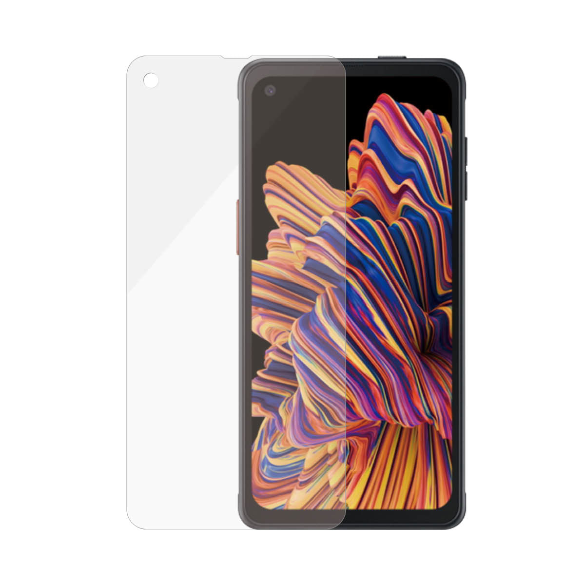 PanzerGlass 7227 protezione per lo schermo e il retro dei telefoni cellulari Pellicola proteggischermo trasparente Samsung 1 pz