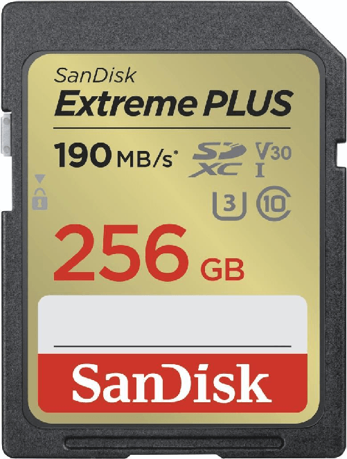 SanDisk Extreme PLUS - Scheda di memoria flash - 256 GB SanDisk SDSDXW2-256G-GNCIN 64 GB SDXC Classe 10