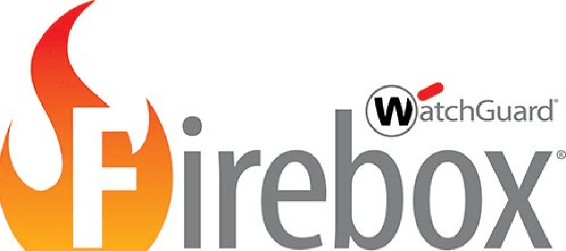 WatchGuard WG020009 licenza per software/aggiornamento 1 anno/i