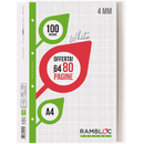 Ricambio Rambloc FSC 100 gr. 21x29,7 320 PGQ