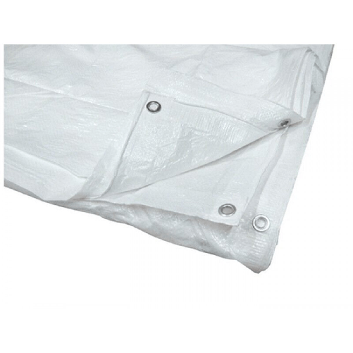 Telo 5x6 mt Occhiellato in PVC Bianco Rinforzato Copertura Antistrappo