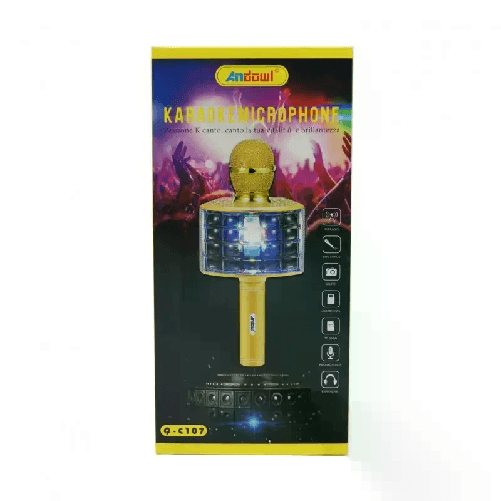 Microfono con cassa altoparlante senza fili Bluetooth con eco karaoke USB TF FM