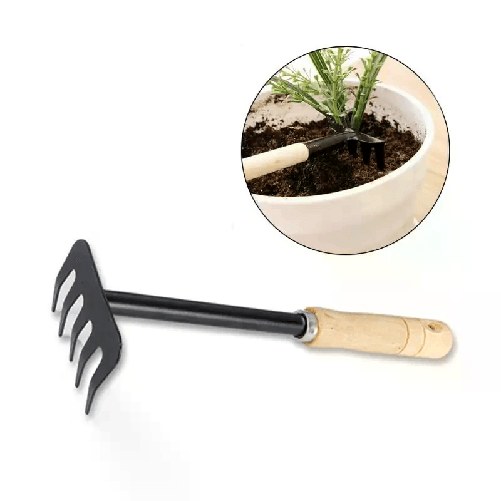 Rastrello da giardino manico in legno attrezzi 5 denti in acciaio fiori aiuole
