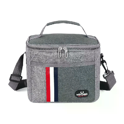 Borsa Termica 24x17x20 cm Frigo Borsetta Porta Alimenti Pranzo Spiaggia Mare 8L