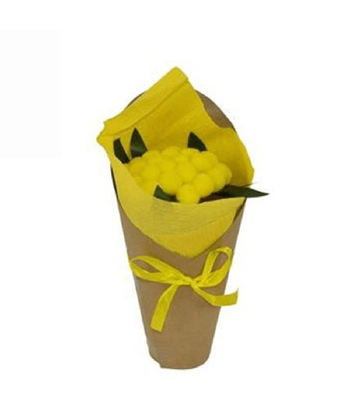 Trade Shop Traesio-piantina Mimosa Con Cartoncino E Fiocco Idea Regalo Fiori Ragazza Decorazione -