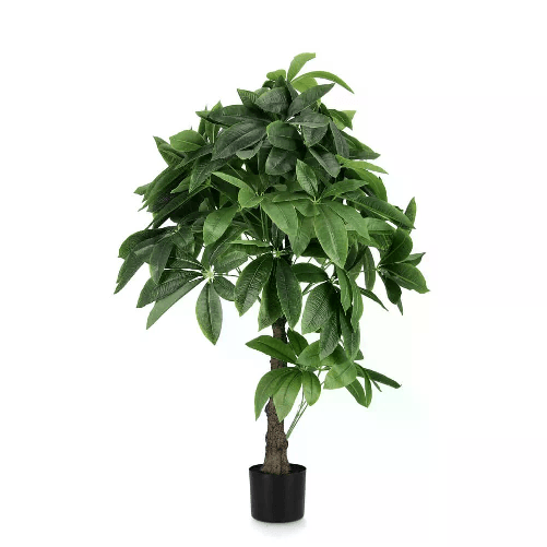 Pianta Aquatica con Vaso 280F H120 (2 Pezzi) - TRANQUILO