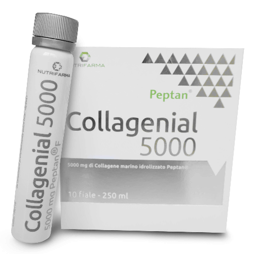 AQUA VIVA Srl Collagene Marino con Acido Ialuronico da Bere