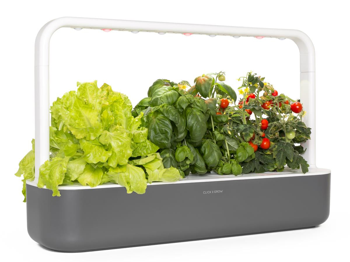 Click & Grow Smart Garden 9 giardinaggio Grigio