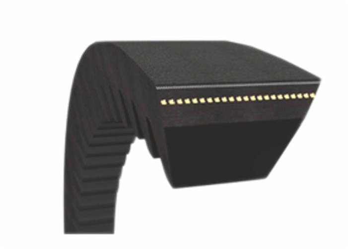 Cinghia trapezoidale standard in gomma telata AVX10mm 1075 Confezione da 2pz