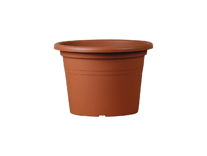 Teraplast Herstera 09701825 fioriera Interno Vaso a cubo Libera installazione Plastica Marrone Herstera 09701825 fioriera Interno Vaso a cubo Libera i