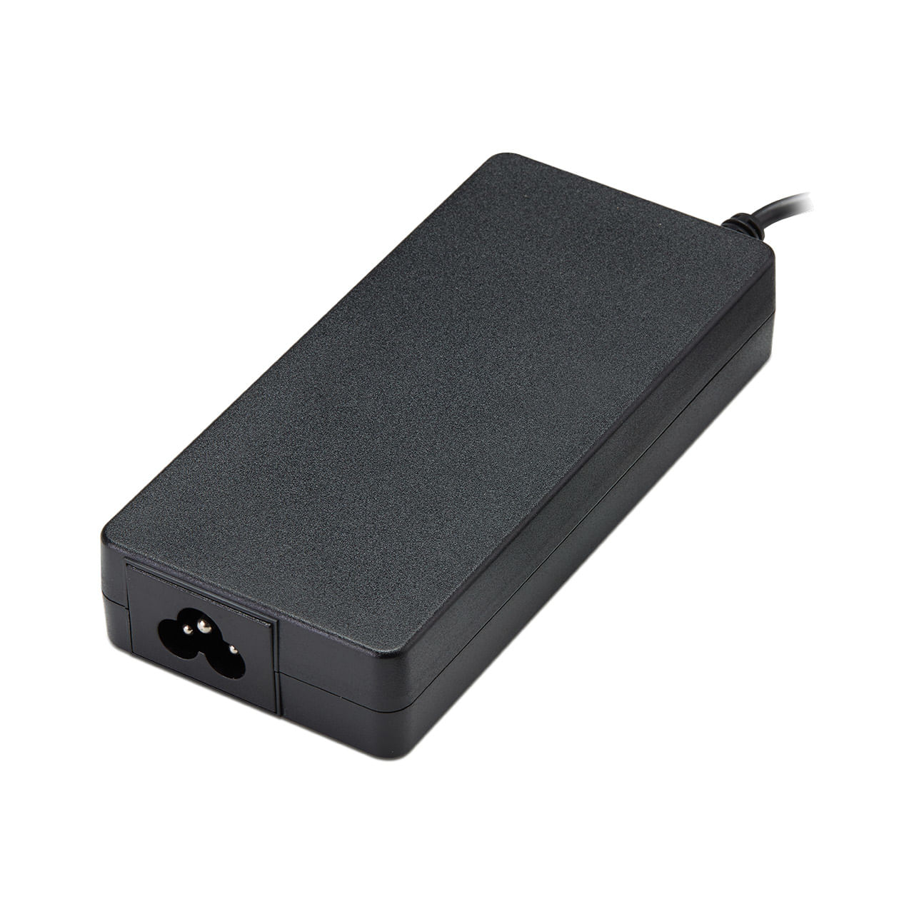 Fortron FSP NB Slim PRO adattatore e invertitore Interno 120 W Nero FSP NB Slim PRO adattatore e invertitore Interno 120 W Nero