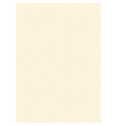 BLISTER 10 DIPLOMI PERGAMENA 297x420mm 160gr neutro avorio KARTOS