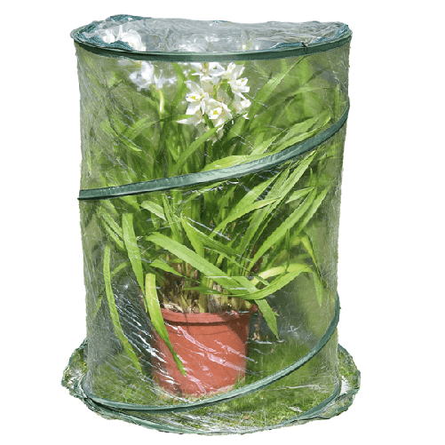 Verdemax Serra Pop-up Anthurium 70x100cm verde/trasparente Verdemax