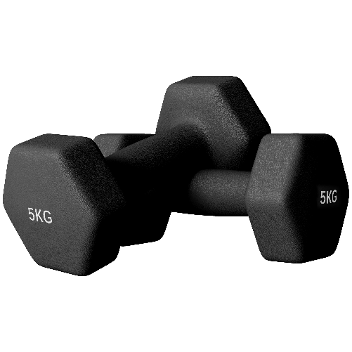 SPORTNOW Set 2 Manubri Esagonali da 2x5 kg in Metallo e Plastica con Impugnatura Antiscivolo, 20x9x9 cm, Nero