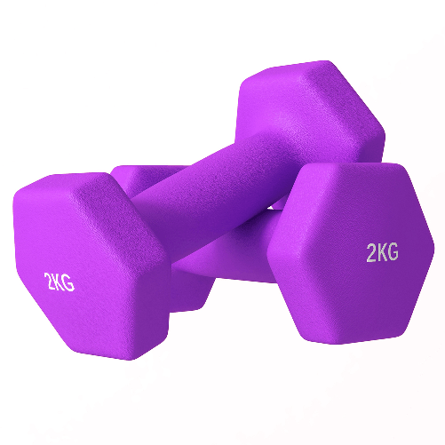 SPORTNOW Set 2 Manubri 2x2 kg Esagonali e Antiscivolo per Casa e Palestra, in Metallo e Plastica, 16x7.5x7.5 cm, Viola