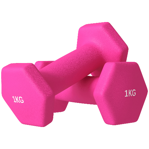 SPORTNOW Set 2 Manubri 2x1 kg Esagonali e Antiscivolo per Casa e Palestra, in Metallo e Plastica, 13x5x5 cm, Rosa