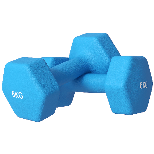 SPORTNOW Set 2 Manubri Esagonali da 2x6kg in Metallo e Plastica con Impugnatura Antiscivolo, 22x10x10 cm, Azzurro