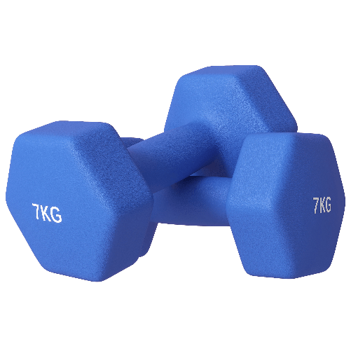 SPORTNOW Set 2 Manubri Esagonali da 2x7kg in Metallo e Plastica con Impugnatura Antiscivolo, 22.5x10.5x10.5 cm, Blu
