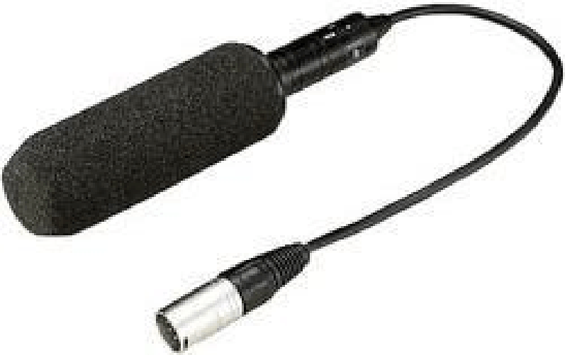 Panasonic AJ-MC900G Mikrofon Digitales Kameramikrofon Schwarz (AJ-MC900G)