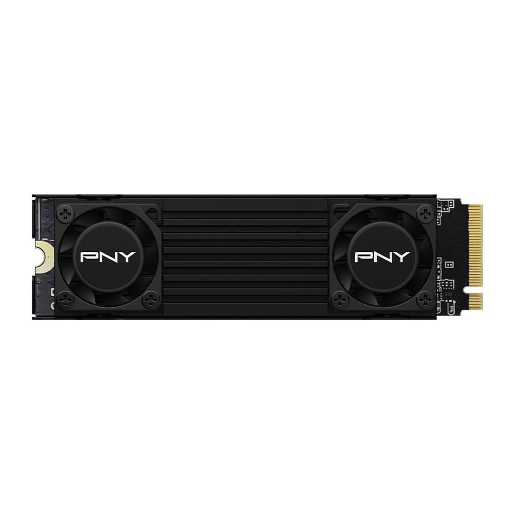 PNY CS3150 SSD M2 Disco rigido solido NVMe PCIe Gen5 x4 da 2 TB con dissipatore di calore - Illuminazione RGB - Colore n PNY CS3150 2 TB M.2 PCI Expre