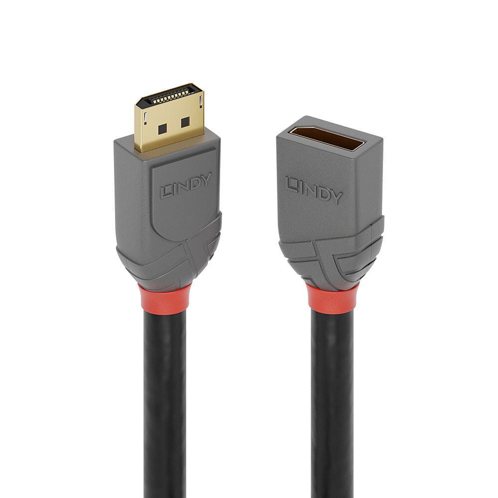 Lindy 36495 cavo DisplayPort 0,5 m Nero (0.5m DisplayPort Extension - Cable, Anthra Line - Warranty: 120M) Lindy 36495 cavo DisplayPort 0,5 m Nero