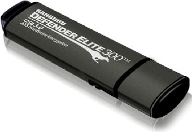 Kanguru Defender Elite300, 64GB unità flash USB USB tipo A 3.2 Gen 1 (3.1 Gen 1) Nero, Grigio