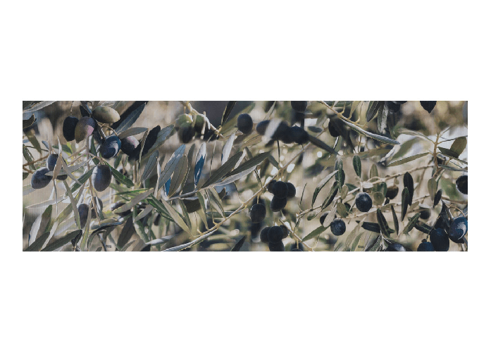 Tappeto Passatoia Cucina Antiscivolo Antimacchia Digitale Sprinty OliveTree