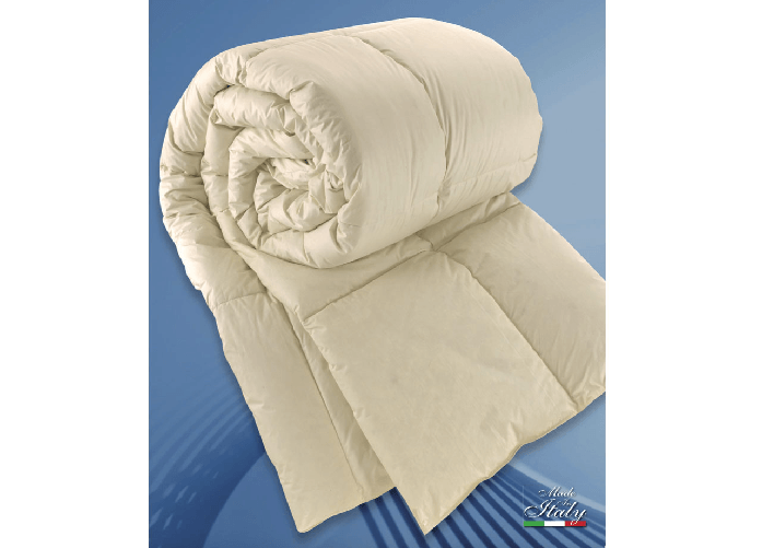 BIANCHERIAWEB Piumino D'Oca Invernale Mod Dublino 90% Piumino D'Oca10% Piumette D'Oca Colore Invernale,Misura Matrimoniale