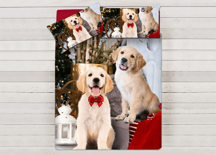 BIANCHERIAWEB Parure Copripiumino Sacco Piumino Letto 100% Cotone Sogni D'oro Disegno Cani Dis. 72 Colore Cani,Misura Matrimoniale