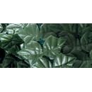 VERDELOOK Sempreverde Point, Siepe Artificiale 1,5x3 m, Foglia Lauro, per Decorazioni Giardino