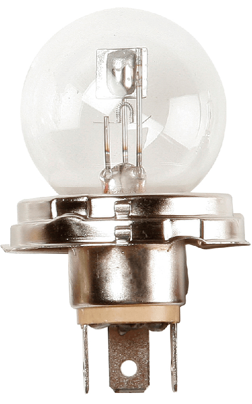 Ring Lampadina 24V 55/50W R2