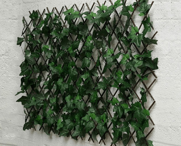 BIANCHERIAWEB Traliccio Edera Rampicante Verde Frangivista Recinzione Giardino Balcone 1x2mt