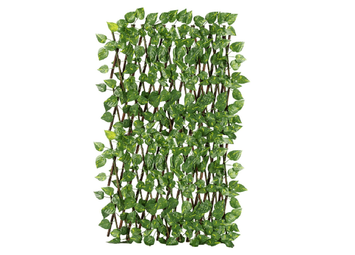 BIANCHERIAWEB Traliccio Potos Foglie Rampicante Verde Frangivista Recinzione Giardino Balcone 1x2mt