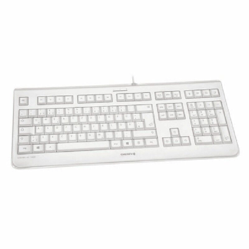 Cherry Tastiera Cherry JK-1068ES-0 Grigio Qwerty in Spagnolo QWERTY