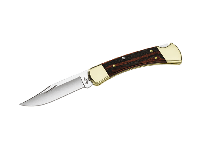 Buck Buck FOLDING HUNTER PLAIN 110BRS