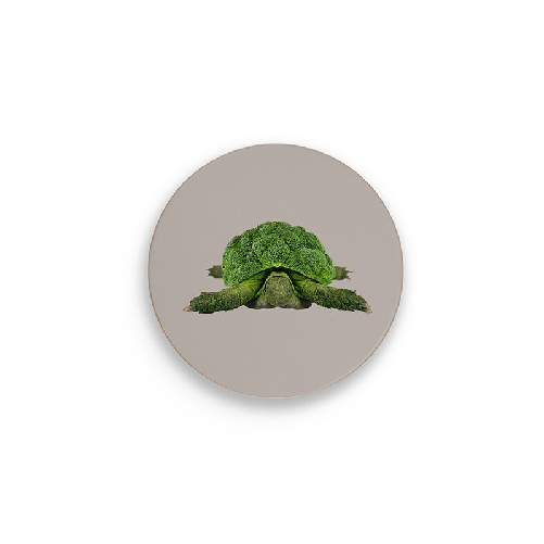 SOTTOPENTOLA TARTRUGA 18cm