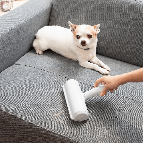 InnovaGoods Spazzola Elimina Peli per Animali Domestici Rellair InnovaGoods