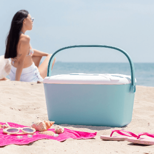InnovaGoods Frigorifero Portatile Rigido Koolty InnovaGoods 20 L