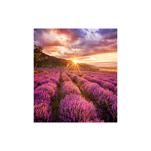 Samsung Monitor Videowall Samsung LH025IFHBAS/EN