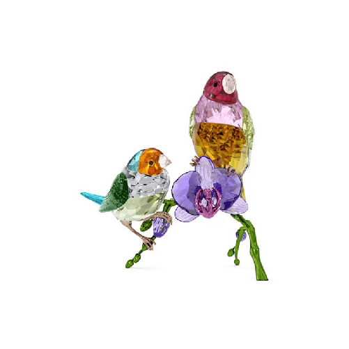 DIAMANTE DI GOULD SCS 2024 EDIZIONE LIMITATA