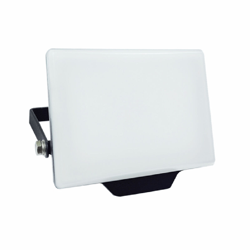 Silver Electronics Faro Proiettore Silver Electronics 173302 G (Bianco Freddo)