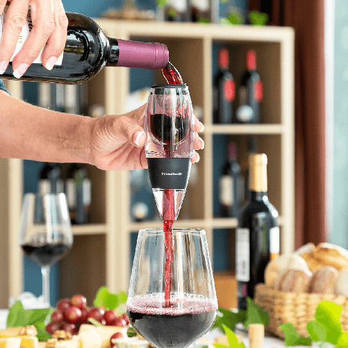 InnovaGoods Aeratore per Vino con Filtro, Supporto e Custodia Wineir InnovaGoods
