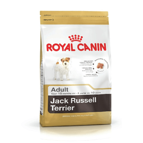 Royal Canin mangime Royal Canin Jack Russell Adult Adulto Pollo Riso Uccelli 1,5 Kg