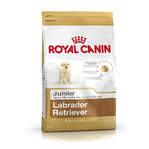 Royal Canin mangime Royal Canin Labrador Retriever Junior Cucciolo/Junior Pollo Riso Mais Uccelli 12 kg