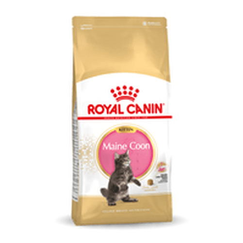Royal Canin Cibo per gatti Royal Canin Maine Coon Kitten 10 kg