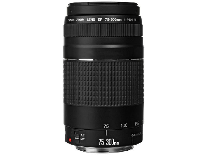Canon Obiettivo Reflex Canon EF 75-300mm F/4-5.6 III