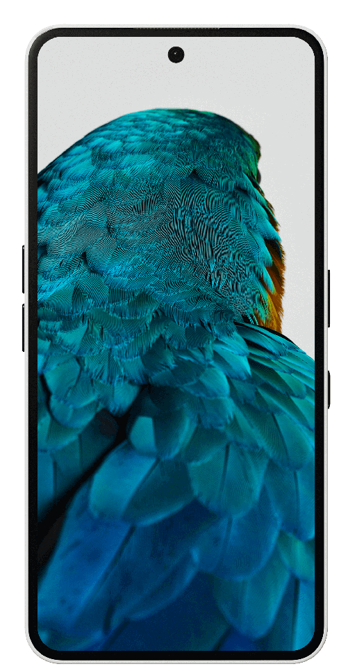 Nothing Phone (3a) 17,2 cm (6.77") Doppia SIM Android 15 5G USB tipo-C 12 GB 256 GB 5000 mAh Nero