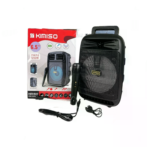 Cassa Karaoke Bluetooth 1200 W USB WIFI Portatile con microfono